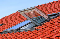 Aldercar roof window